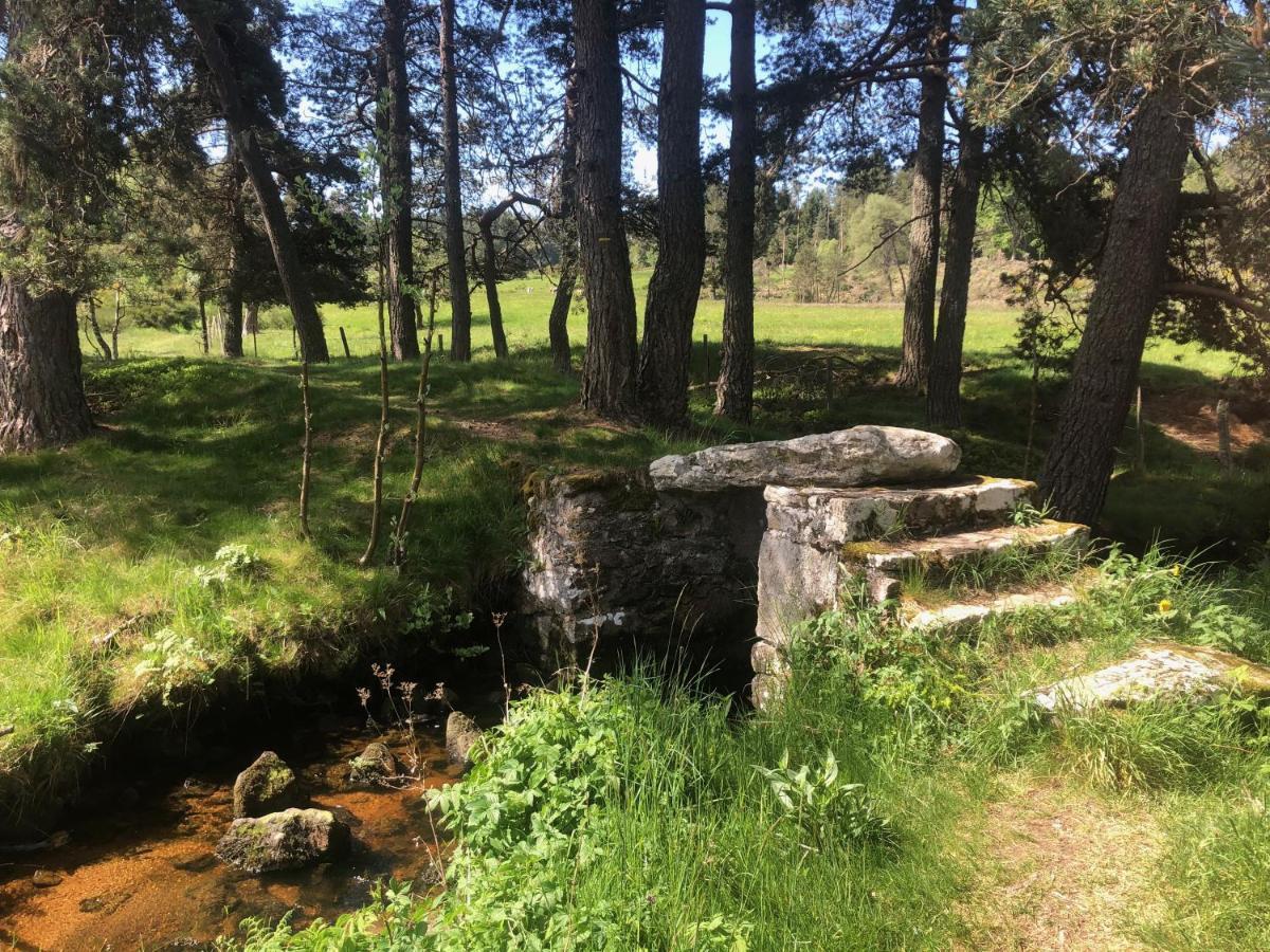 Malvières Chambres D'Hotes La Fougeraie מראה חיצוני תמונה
